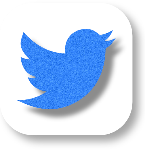 Twitter Icon Twitter Icon Twitter Icon - Simbolo De Twitter Transparente (504x522), Png Download