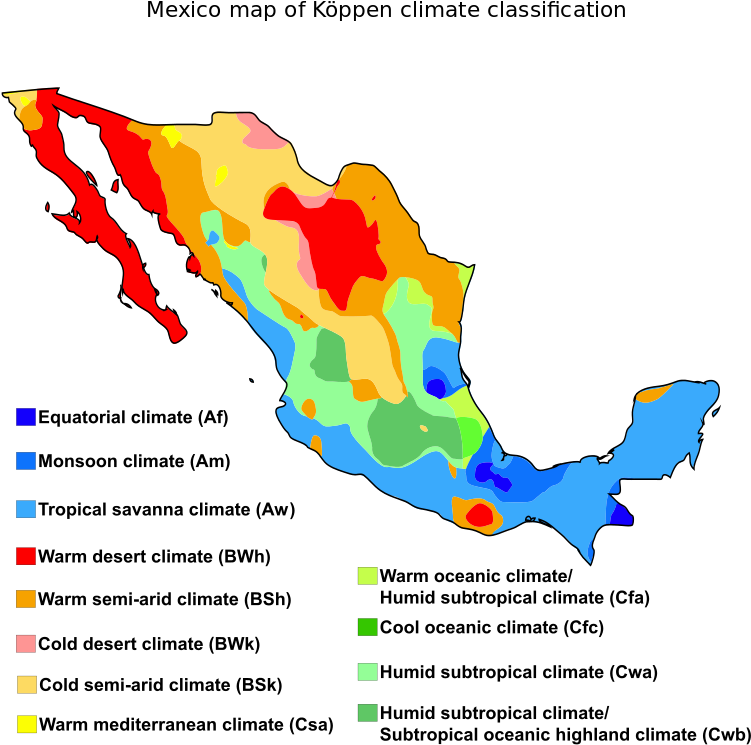 Mexico Map Of Köppen Climate Classification - Koppen Climate Classification Mexico (800x800), Png Download