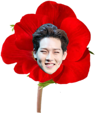 Flowers And Monsta X Icons - Clip Art Poppy Flower (361x407), Png Download