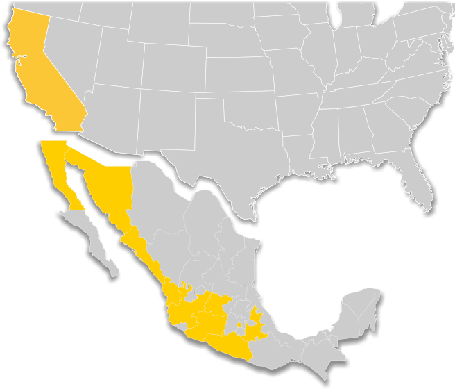 Redcoach En Mexico - Mexico (698x608), Png Download