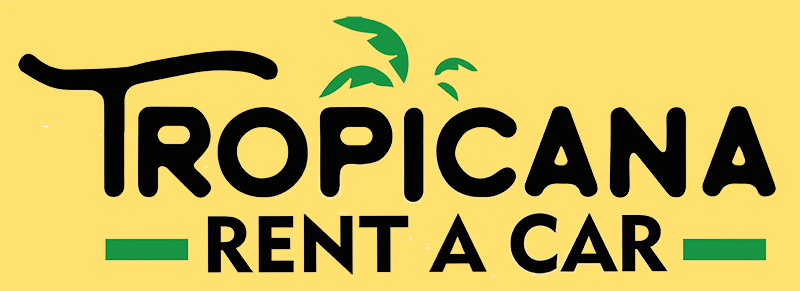 Chevrolet Sonic - From* Us$30/day - Poster (800x291), Png Download