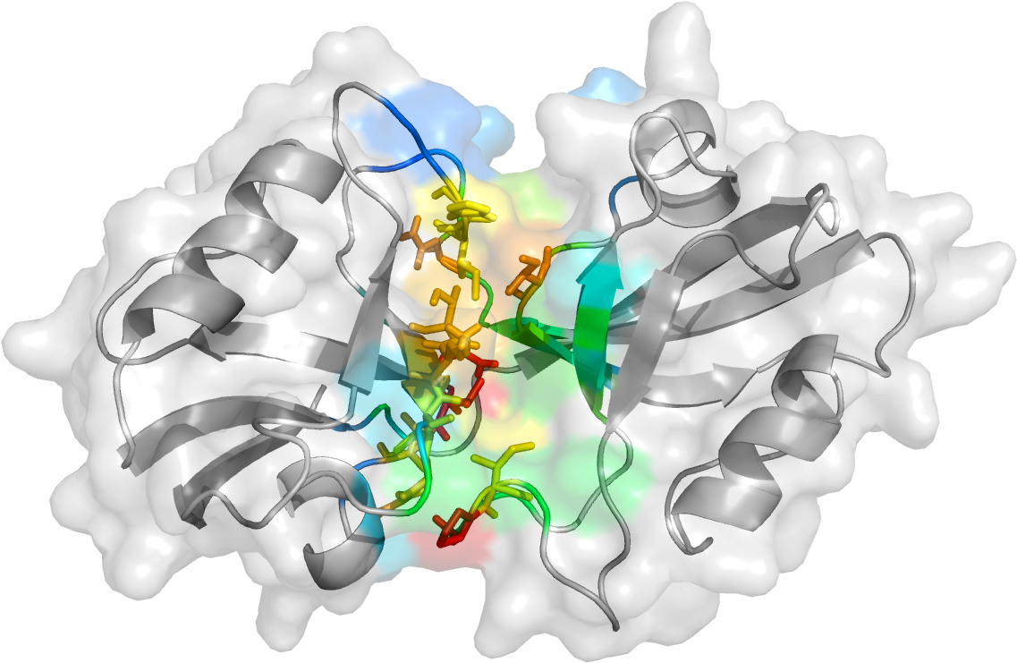 A Cartoon Representation Unveiled By The Study Shows - Illustration (1479x1023), Png Download