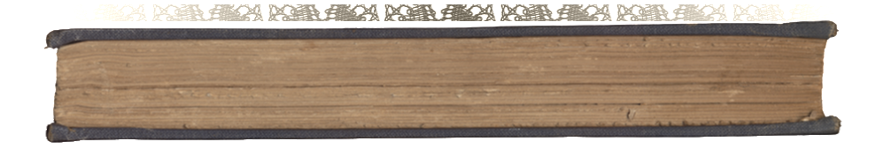 Just Click On The Image, Then Right Click And Save - Plank (1023x298), Png Download