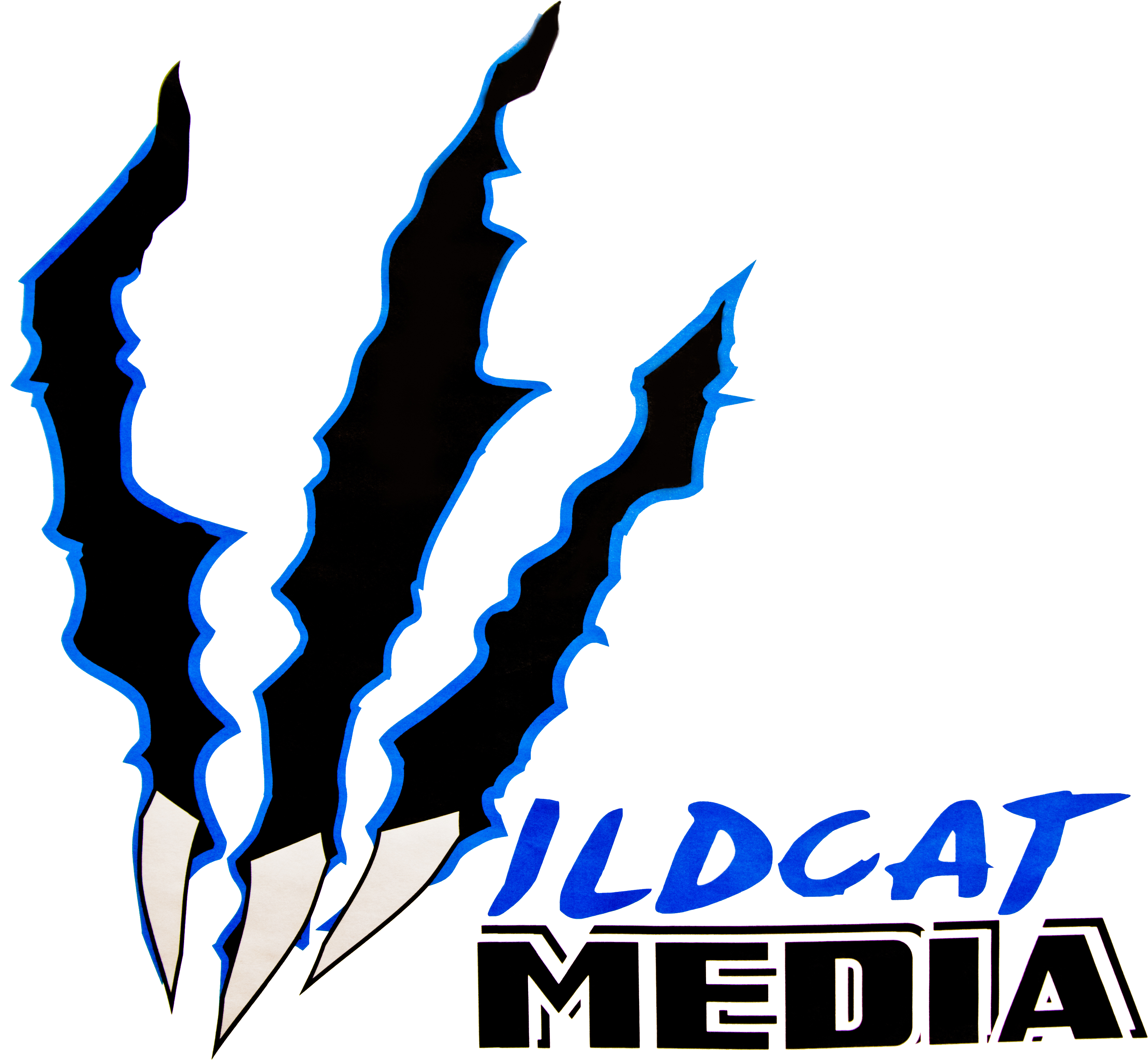 Wildcat Media Logo Wsprcolor3 - Wildcat Media (3440x3124), Png Download