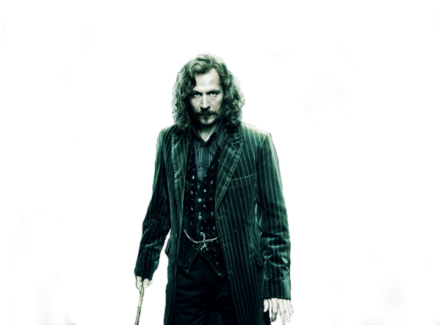 Clipart Resolution 1024*768 - Sirius Black Transparent (900x675), Png Download