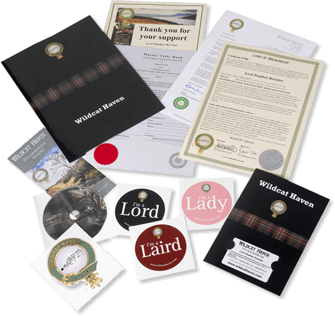 Gift Pack - Gift (483x455), Png Download