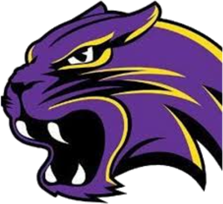 Purple Clipart Wildcat - Waconia Wildcats (720x720), Png Download