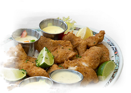 Serving Them As Gourmet Food And Hunting Them For Sport - Crispy Fried Chicken (486x345), Png Download