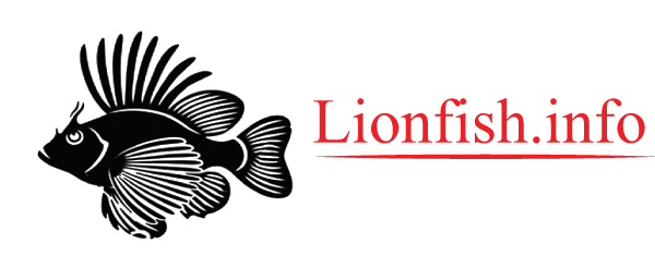 Lionfish Information - Lionfish (600x257), Png Download