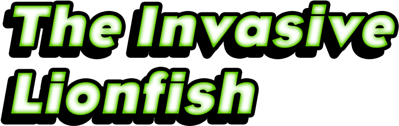 Biodiversity > Nature's Superheroes > The Invasive - Red Lionfish (960x298), Png Download