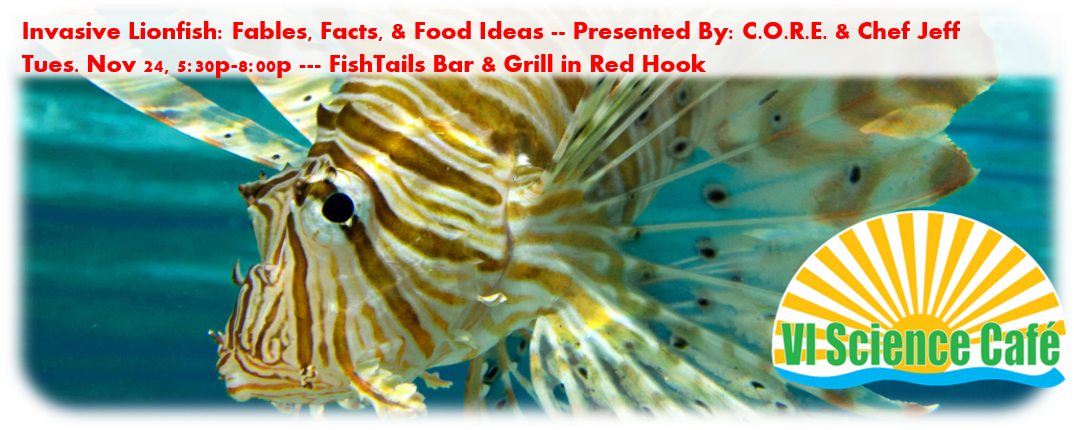 Lionfish (1074x430), Png Download