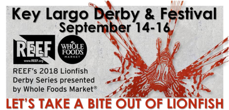 Poster (480x251), Png Download