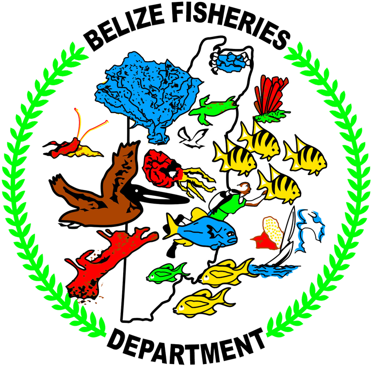 Picture - Fisheries Belize (818x800), Png Download