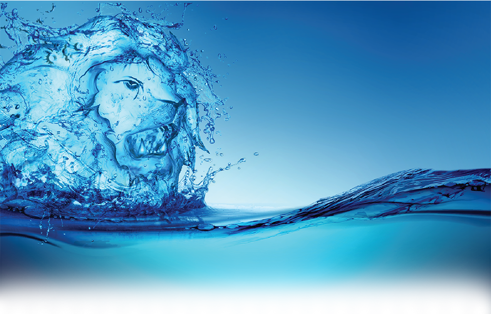 Lionfish - Sea (1000x640), Png Download