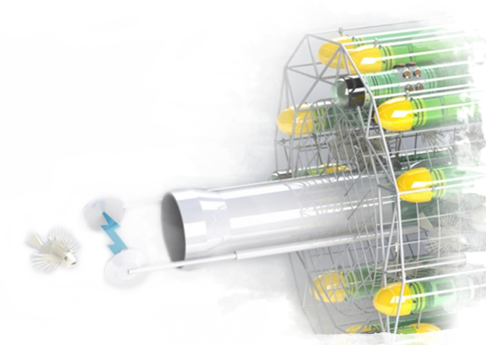 Building Robots To Hunt Lionfish - Cage (486x345), Png Download