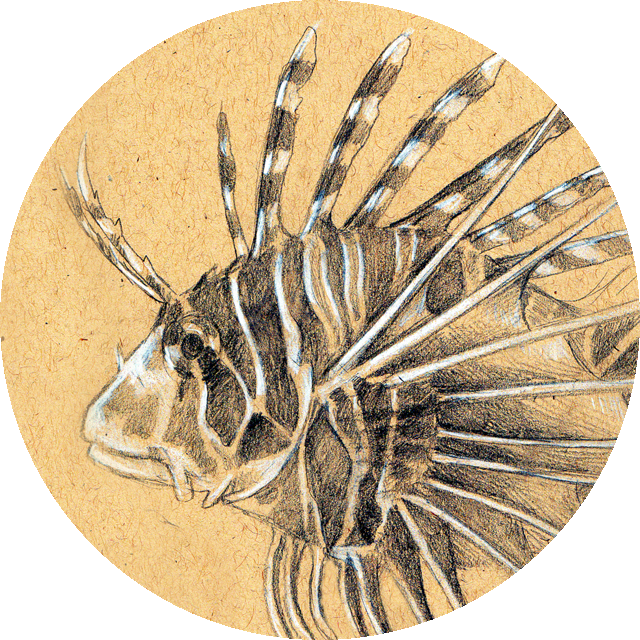 Pest (640x640), Png Download