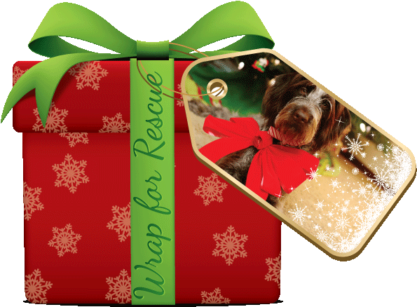 Wrapping For Rescue (600x453), Png Download