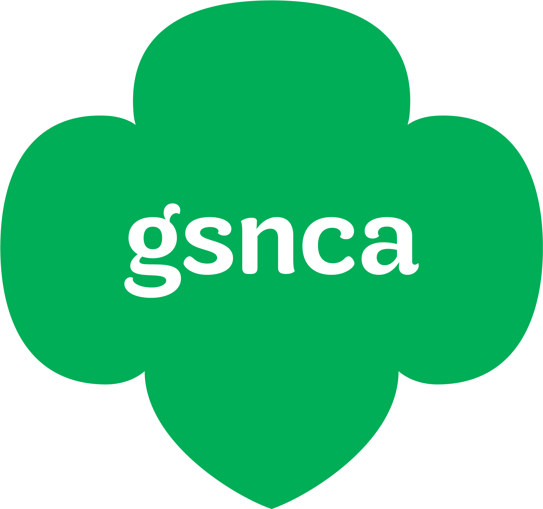 Online Only - Girl Scouts Of Kentuckiana (3000x3000), Png Download