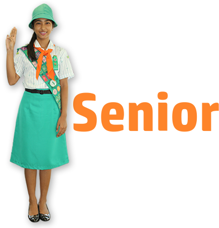 The Girl Scout Promise - Official Senior Girl Scout Uniform (450x450), Png Download