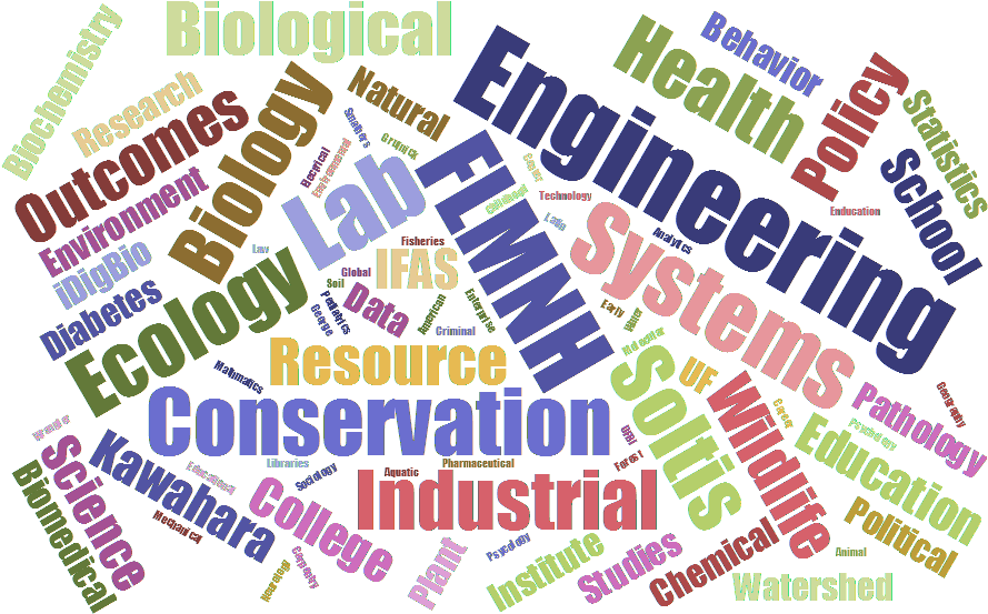 Graph Of Participants' Status At Uf And Word Cloud - Delhi School Of Internet Marketing (960x600), Png Download
