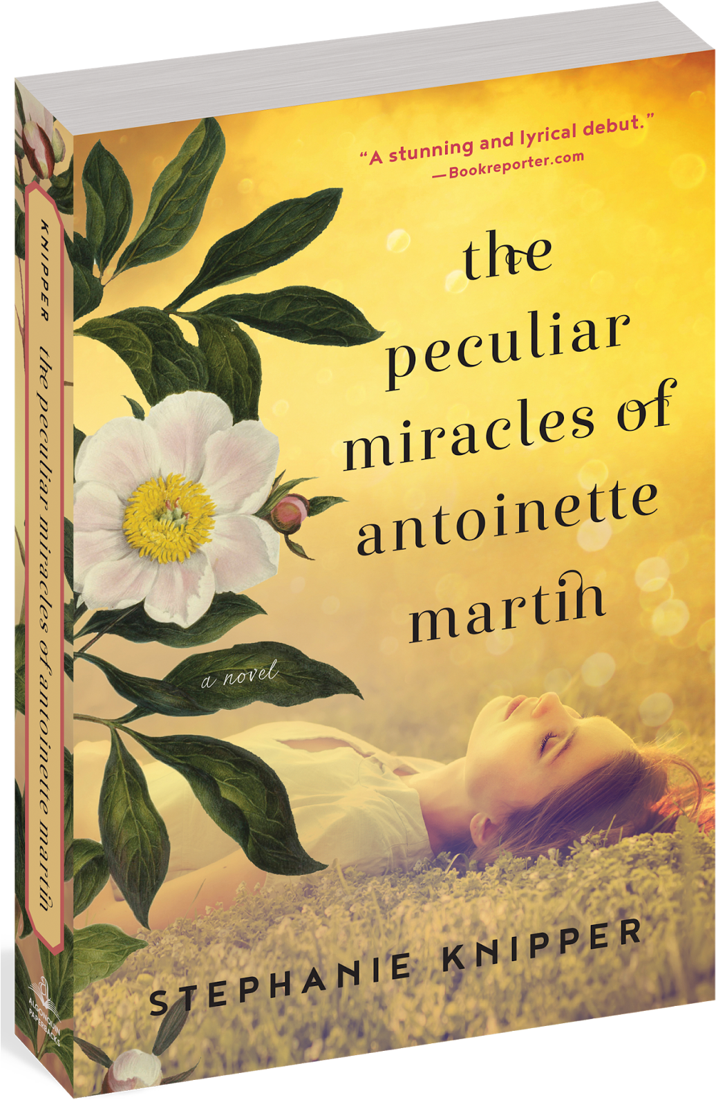 In The Spirit Of Vanessa Diffenbaugh's The Language - Peculiar Miracles Of Antoinette Martin (1047x1600), Png Download