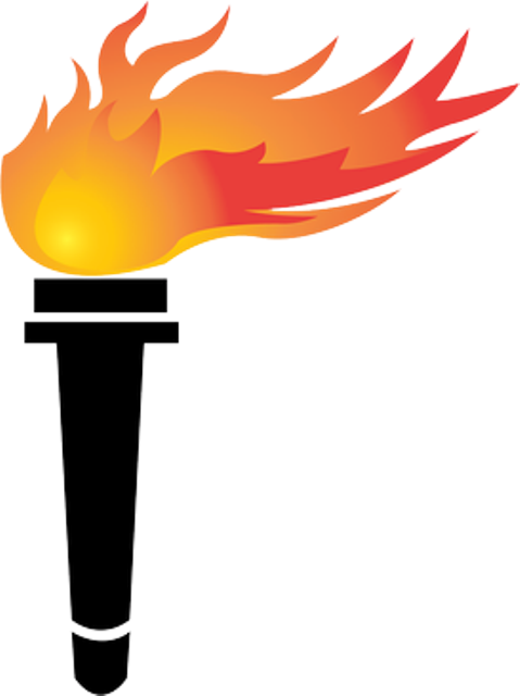 Sri Lankan Political Party (479x640), Png Download