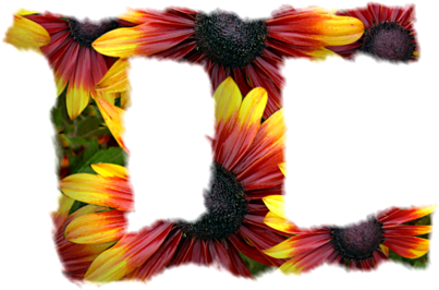 Thread (600x600), Png Download