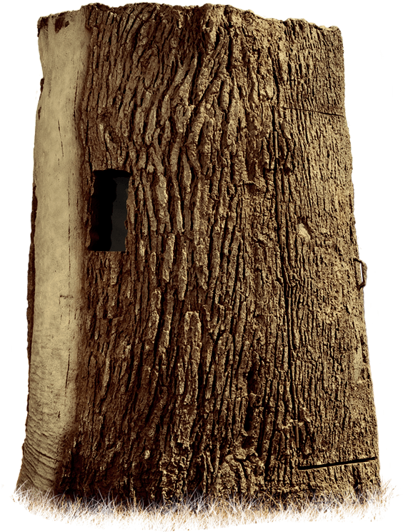 Solo - Nature Blinds Treeblind Solo H814246 (704x832), Png Download