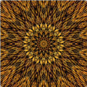 Screen 15 On Flowvella - Radial Symmetry In Art (400x300), Png Download