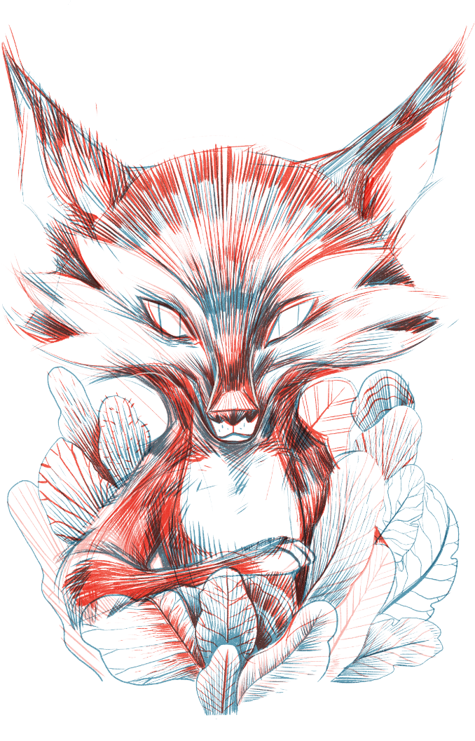 Animals Of The Afan Woods In Northern - Kokoro London Dry Gin (800x1153), Png Download