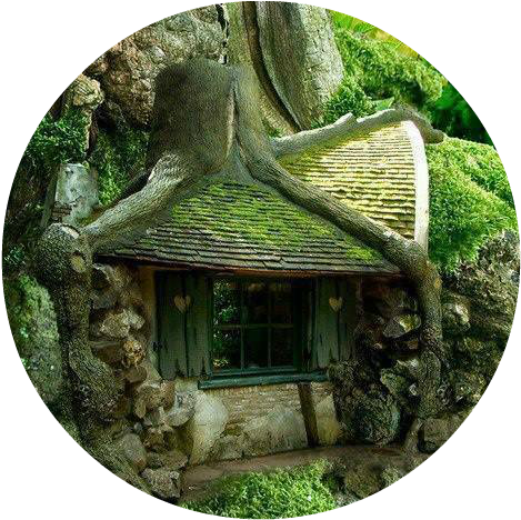 11138485 1640109639564387 2274800611361919350 N - Coolest Houses In Nature (500x694), Png Download