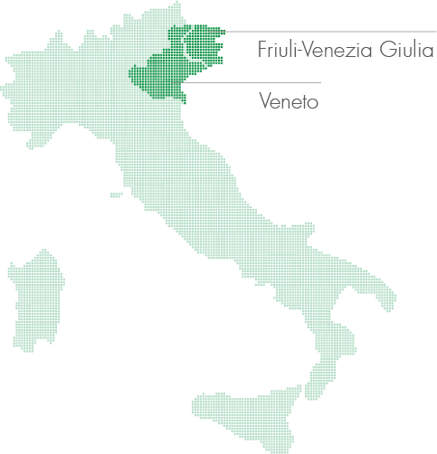 Italymap - Wine (483x502), Png Download