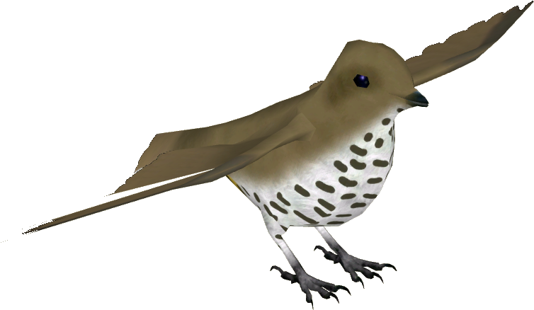 King Of Saxony Bird Of Paradise F - Wren (1145x1145), Png Download