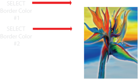 Bird Of Paradise (500x429), Png Download