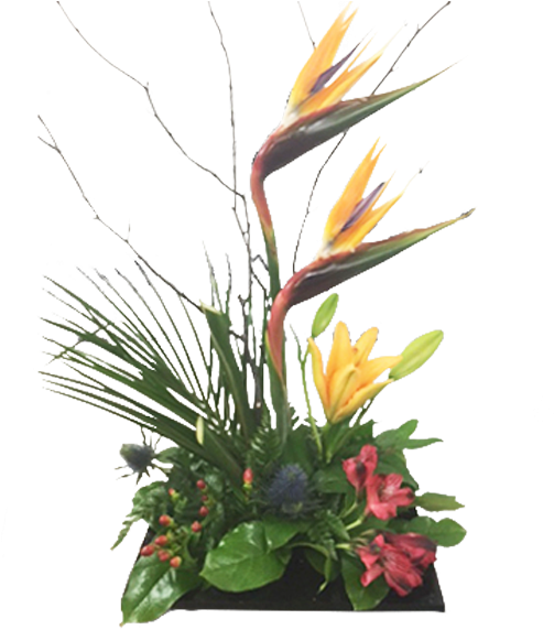 Birds In Paradise - Bouquet (600x600), Png Download