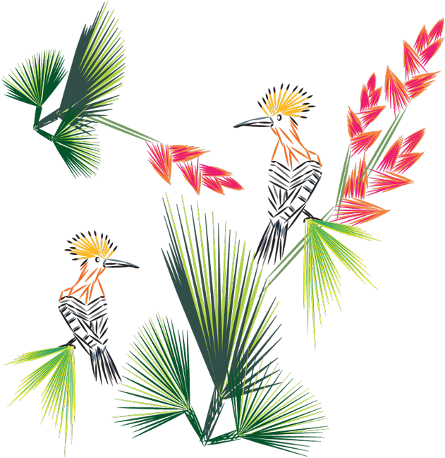 Birds Of Paradise Interiors - Design (850x826), Png Download