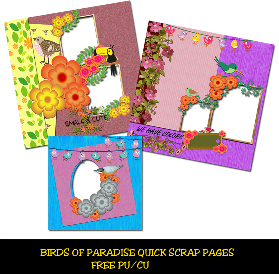 Birds Of Paradise Qp Png - Floral Design (894x894), Png Download