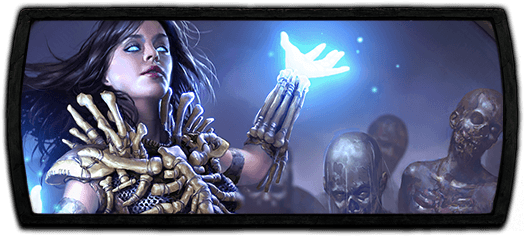 Poe Necromancer (530x245), Png Download