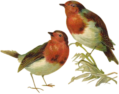 Victorian Birds 1 Quaddles By Quaddles - Victorian Birds (400x317), Png Download