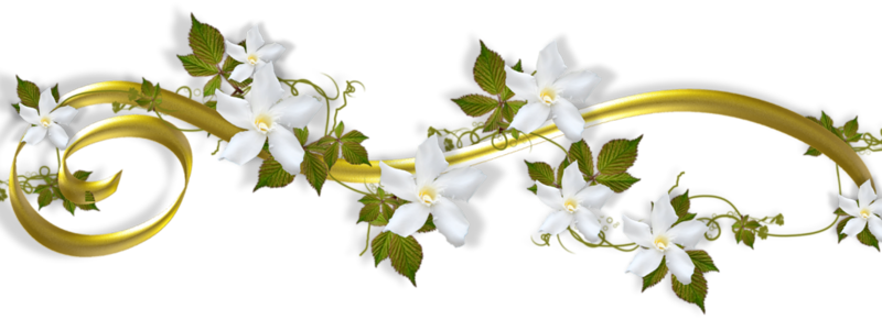 0 Bb287 65dd7b4d Xl - Barre De Separation Plantes (800x291), Png Download