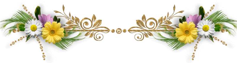 Anuncios (800x223), Png Download