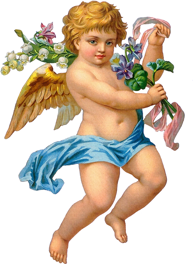 Cupid Clipart Cherub - Cupid Angel Png (650x893), Png Download