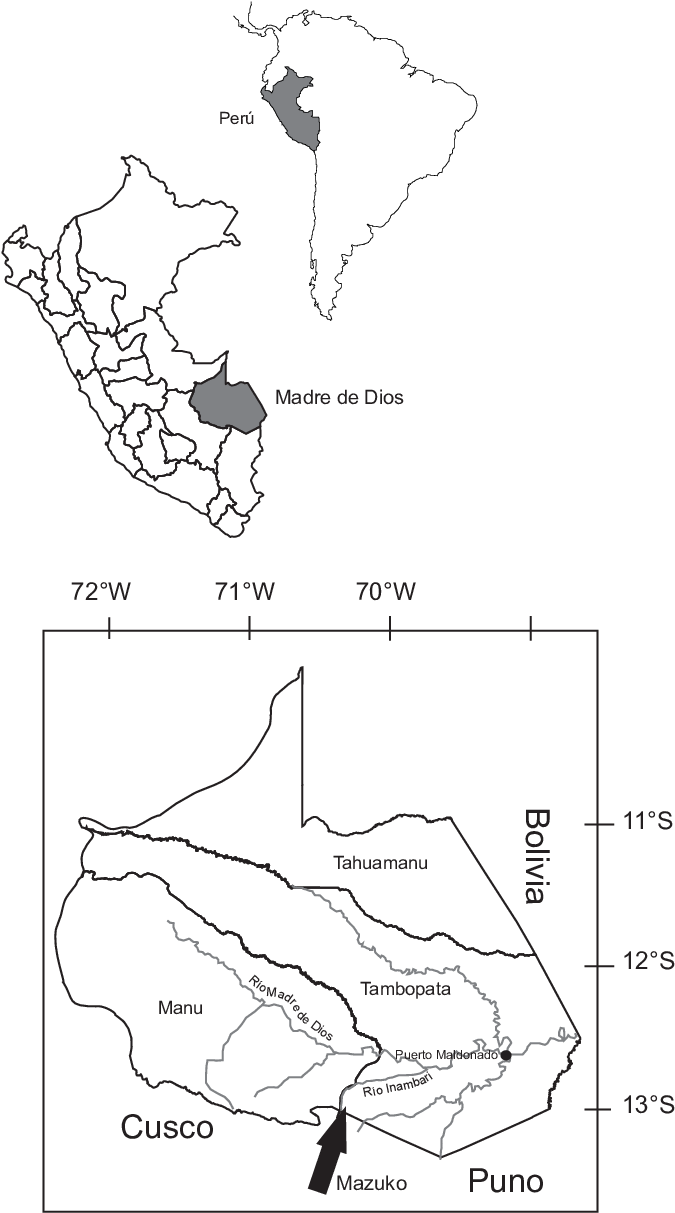 Ubicación Del Área De Estudio - Mapa Del Peru (719x1226), Png Download