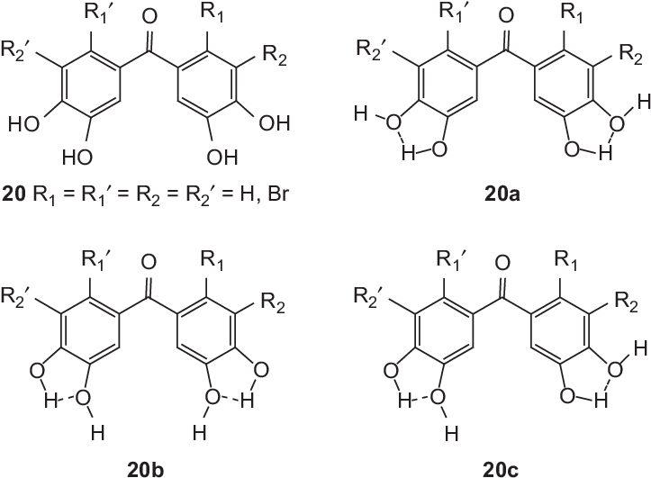 Structures Of Hydrogen Bonds Between Oh Groups In The - Hydroxy Group (725x542), Png Download