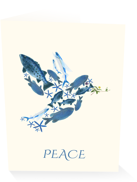 Fish Of Peace Holiday Card - Bluebird (1024x825), Png Download