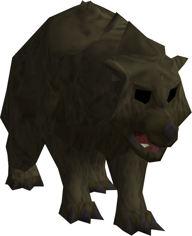 Bear (656x805), Png Download