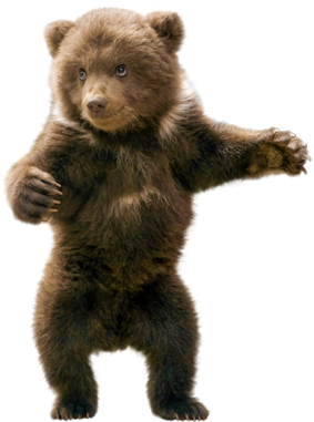 Ftestickers Sticker - New Born Baby Bear (338x435), Png Download