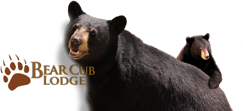 Share This Page - Elk Springs- Bear Club Lodge (789x372), Png Download