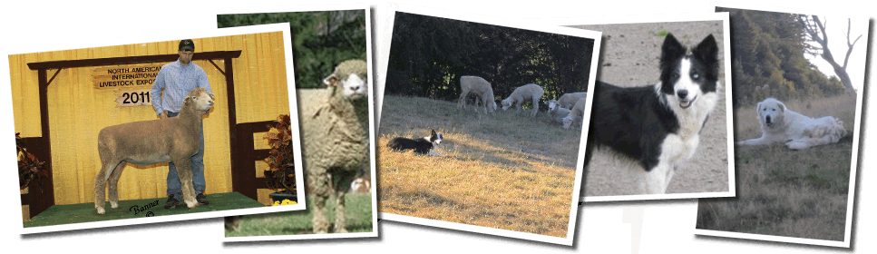 Reister Farms - Pozole (967x280), Png Download