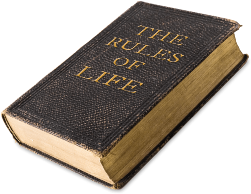 Tercera Parte Resumen Reglas Básicas Del Juego De Golf - Life Rules: Nature's Blueprint For Surviving Economic (625x625), Png Download